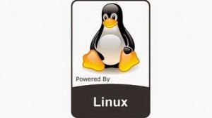 Linux Kernel v4.6.4 Stable